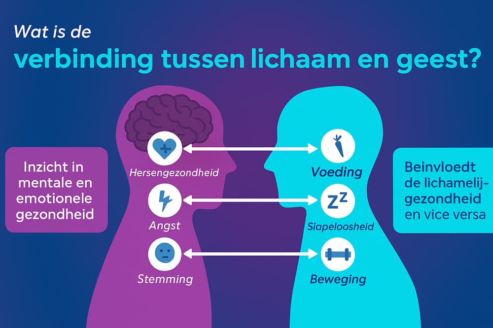 Infografiek hersenen en hoofd bij stress
